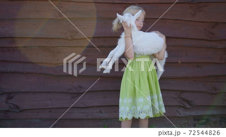 6 year old girl holding a small goat in her arms. 6 year old girl holding a small goat in her arms. 72544826