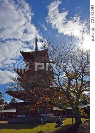奈良の紅葉　薬師寺 72545094