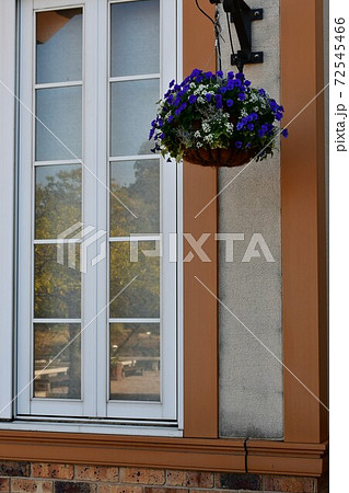 冬の花園　花の公園 72545466