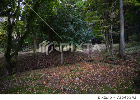 秋の山縣有朋記念館　　＃43 72545542