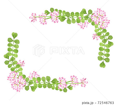 水彩のレンゲの花フレーム 72546763