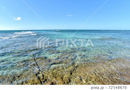 ハワイの休日 ハワイの休日 72548670