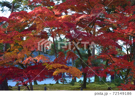 京都の紅葉 南禅寺 京都の紅葉 南禅寺 72549186