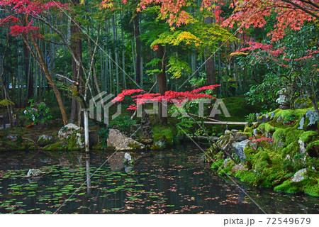 京都の紅葉　天授庵 72549679