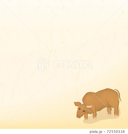 2021年の正月・牛の背景イラスト 2021年の正月・牛の背景イラスト 72550316