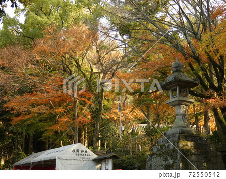 河内一之宮の紅葉風景 河内一之宮の紅葉風景 72550542