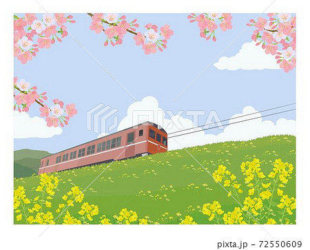 春の風景 電車と桜と菜の花のイラスト素材
