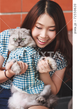 Close up of young Asian woman playing with her persian cat, human-animal relationships. 72550620