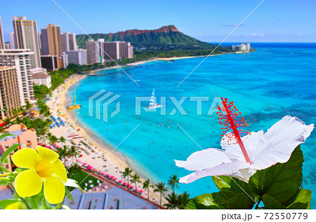 白と黄色の花とワイキキビーチの背景の写真素材