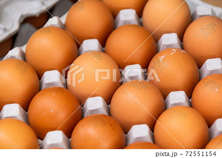 とれたての卵 72551154