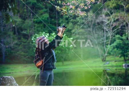 Travel nature female photographed wild himalayan cherry at the Paphiopedilum orchid conservation center, Chiangmai 72551294