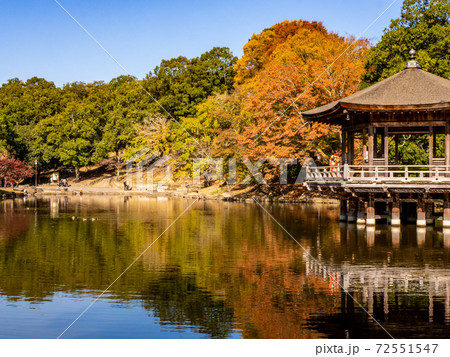 奈良公園の浮見堂 奈良公園の浮見堂 72551547