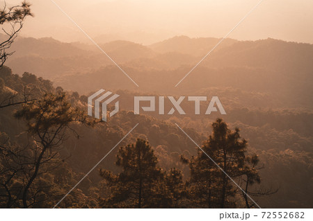 Mountain forest view in the evening Mountain forest view in the evening 72552682