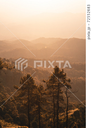 Mountain forest view in the evening 72552683
