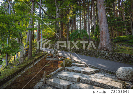 比叡山延暦寺 境内風景 比叡山延暦寺 境内風景 72553645