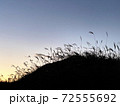 初冬、朝日の中で揺れるススキ 72555692