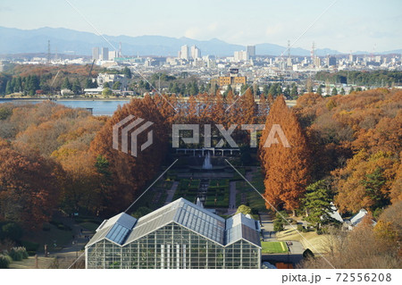 相模原公園 相模原公園 72556208