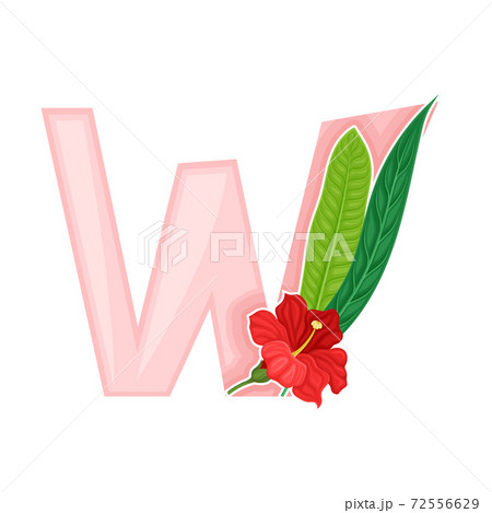 Capital Alphabetical Character with Hibiscus Flower and Fern Leaf as Hot Summer Season Symbol Vector Illustration 72556629
