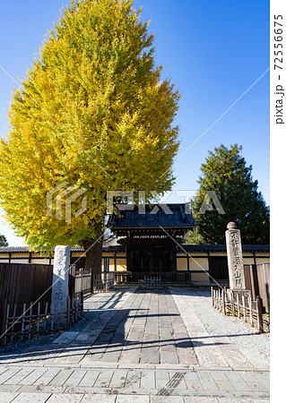 小江戸川越　養寿院　12月＜埼玉県川越市＞ 72556675