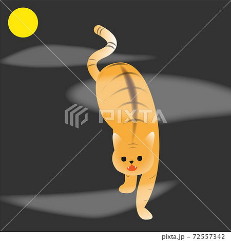 掛け軸風デザインの虎猫 Tiger Cat In Asian Hanging Scroll Artのイラスト素材