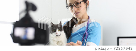 Veterinarian records the examination of the cat on camera. 72557945