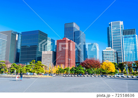東京 皇居外苑からの丸の内ビル群 東京 皇居外苑からの丸の内ビル群 72558636