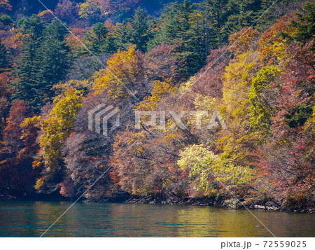 奥日光　中禅寺湖の紅葉 72559025