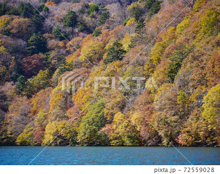 奥日光 中禅寺湖の紅葉 奥日光 中禅寺湖の紅葉 72559028