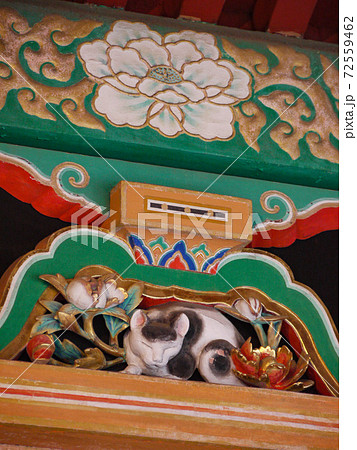 Nikko Toshogu Sleeping Cat Stock Photo