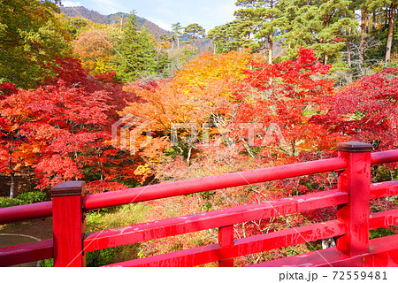 弥彦公園もみじ谷、弥彦村、新潟県、日本 72559481