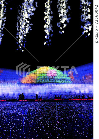 なばなの里　イルミネーション　メイン会場 72560042