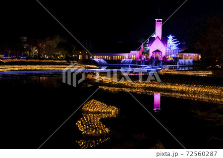 なばなの里　イルミネーション　 72560287