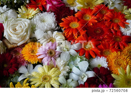 たくさんの花　背景画像　お祝い用 72560708