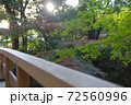 名古屋の徳川園の紅葉と橋 72560996