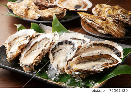 生牡蠣 生牡蠣 72561420