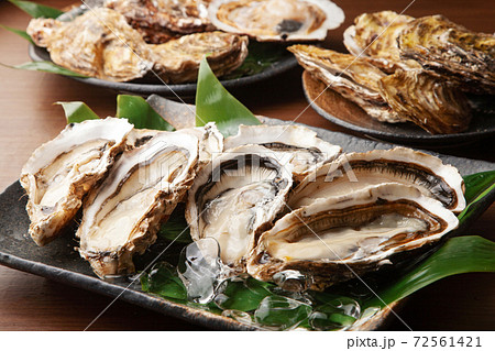 生牡蠣 72561421