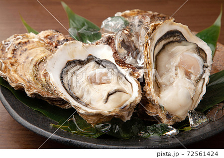 生牡蠣 生牡蠣 72561424