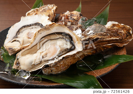 生牡蠣 生牡蠣 72561426