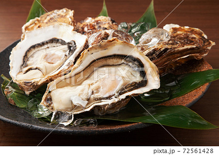 生牡蠣 生牡蠣 72561428