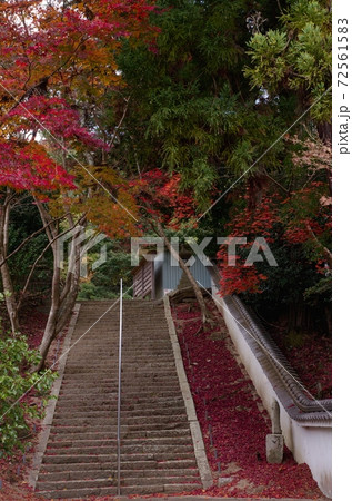 千光寺（岡山県赤磐市）の紅葉 72561583