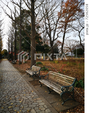 洞峰公園 72562058