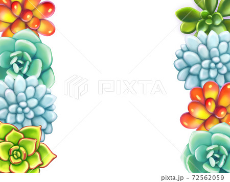 Floral Border. Succulents arranged un a shape of frame Floral Border. Succulents arranged un a shape of frame 72562059