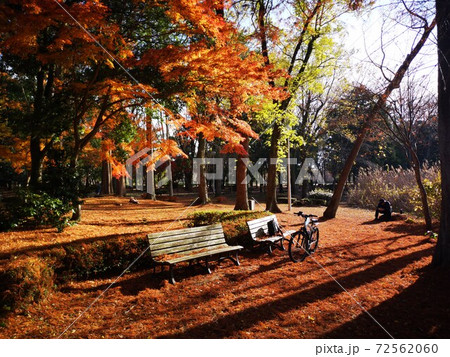 洞峰公園 72562060