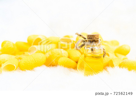 Silkworm cocoon with spa treatment oil Silkworm cocoon with spa treatment oil 72562149
