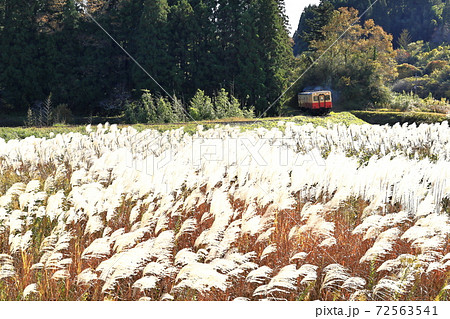 紅葉の小湊鉄道 紅葉の小湊鉄道 72563541