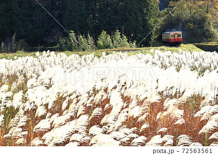 紅葉の小湊鉄道 紅葉の小湊鉄道 72563561
