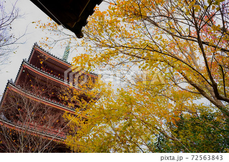 四国霊場第86番札所 志度寺五重塔と紅葉した木々 四国霊場第86番札所 志度寺五重塔と紅葉した木々 72563843