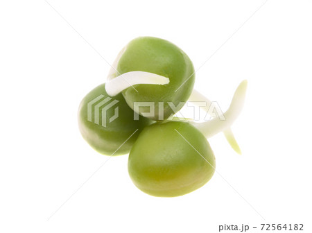 sprouted peas isolated 72564182