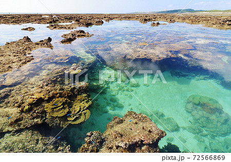 沖縄の海 珊瑚が見える沖縄本島南部大度海岸 沖縄の海 珊瑚が見える沖縄本島南部大度海岸 72566869