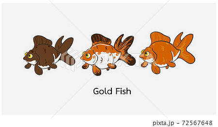 Cute cartoon of goldfish vector illustration. 72567648